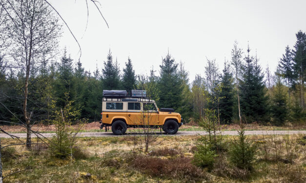 Us and the Landy: Pyreneeën