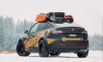 Tesla Model Y off-road