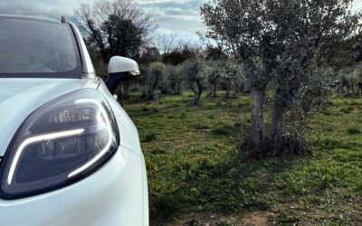 Ford experimenteert met olijfbomen als vervanging voor plastic