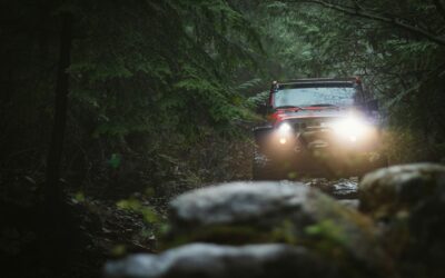 Van autoverzekering tot wegenbelasting: zo ben je optimaal voorbereid met jouw 4WD rally auto!