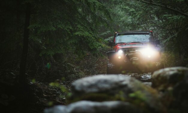 Van autoverzekering tot wegenbelasting: zo ben je optimaal voorbereid met jouw 4WD rally auto!