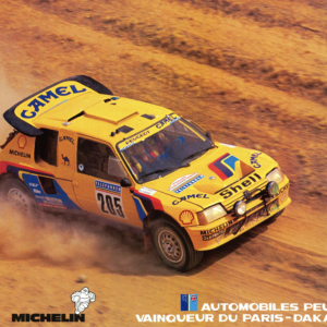 Original Poster Peugeot 205 Paris-Dakar Arie Vatanen 